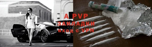 индика Абаза