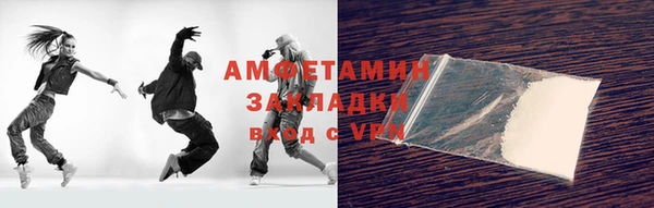 индика Абаза
