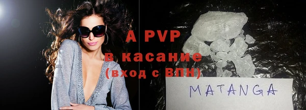 индика Абаза