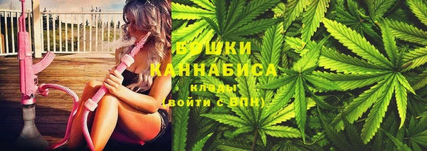 индика Абаза