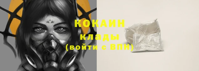 индика Абаза