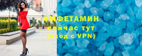 индика Абаза